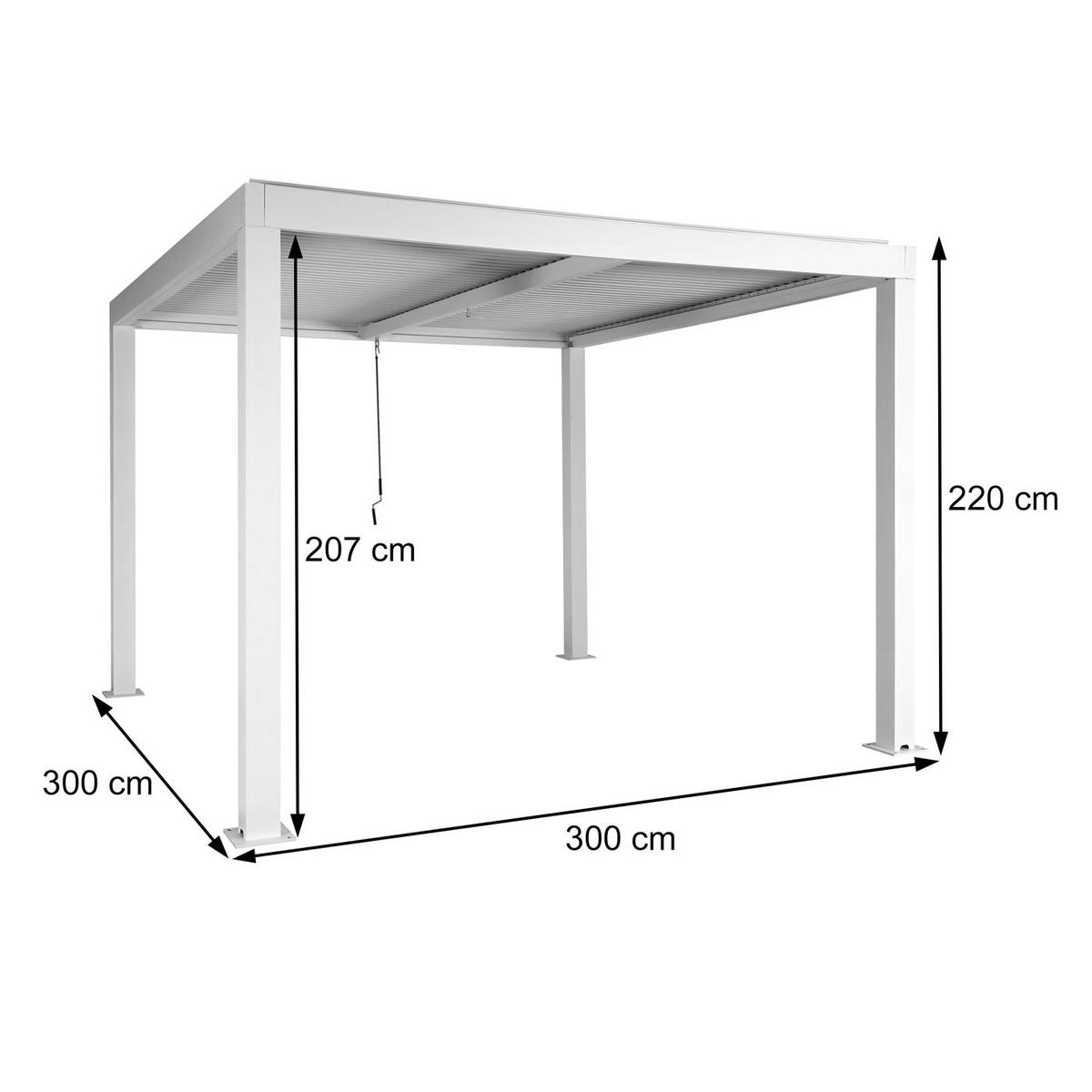 PERGOLA Anthrazit - Anthrazit, Metall (300/220/300cm) - MCW