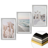 WANDBILDER 3er Set - 40x60 cm Silberner Rahmen - Pflanzen, Meereswellen, Aussicht, Häuser - Silberfarben, Kunststoff (40/60cm) - ArtPrintCave