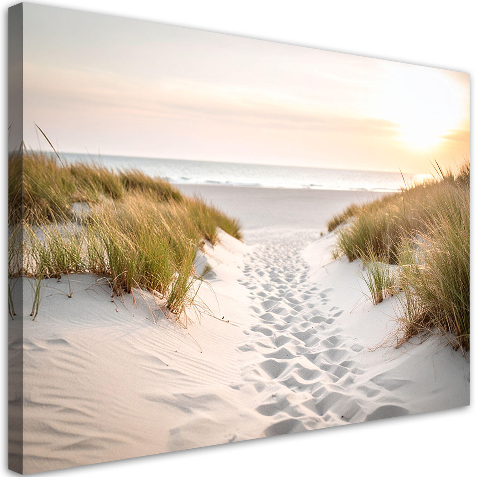 LEINWANDBILD Weg zum Strand Sand Meer Pflanzen 60x40cm - Beige, Textil (60/40cm) - Feeby
