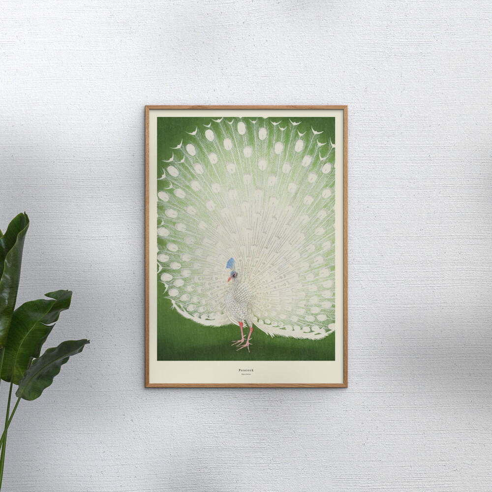 POSTER A.P. Atelier - Peacock - Grün, Papier (30/40/0.1cm) - Poster&Frame