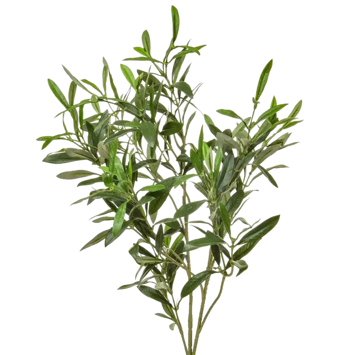 KUNSTPFLANZE Künstliche Olivenzweig - Ernst 90 cm - Grün, Kunststoff (90cm) - aplanta