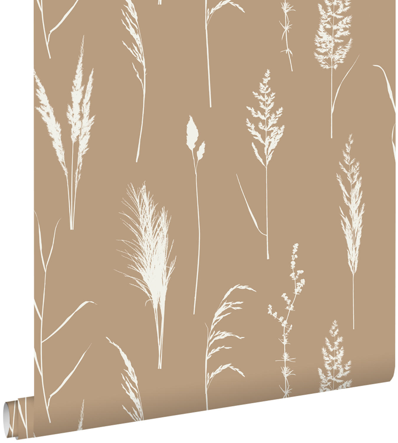 TAPETE Pampasgras 50 x 900 cm - Beige, Papier (50/900cm) - ESTAhome
