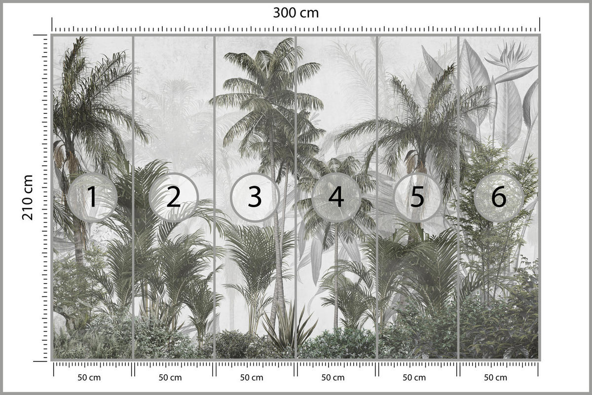 FOTOTAPETE für Wohnzimmer Natur Hohe Palmen Bäume Tropisch 300x210 - Grau/Grün, Papier (300/210cm) - Muralo