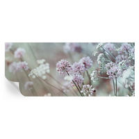FOTOTAPETE 250x104 cm - Wildblumen - Weiß, Textil (250/104cm) - Wallfluent