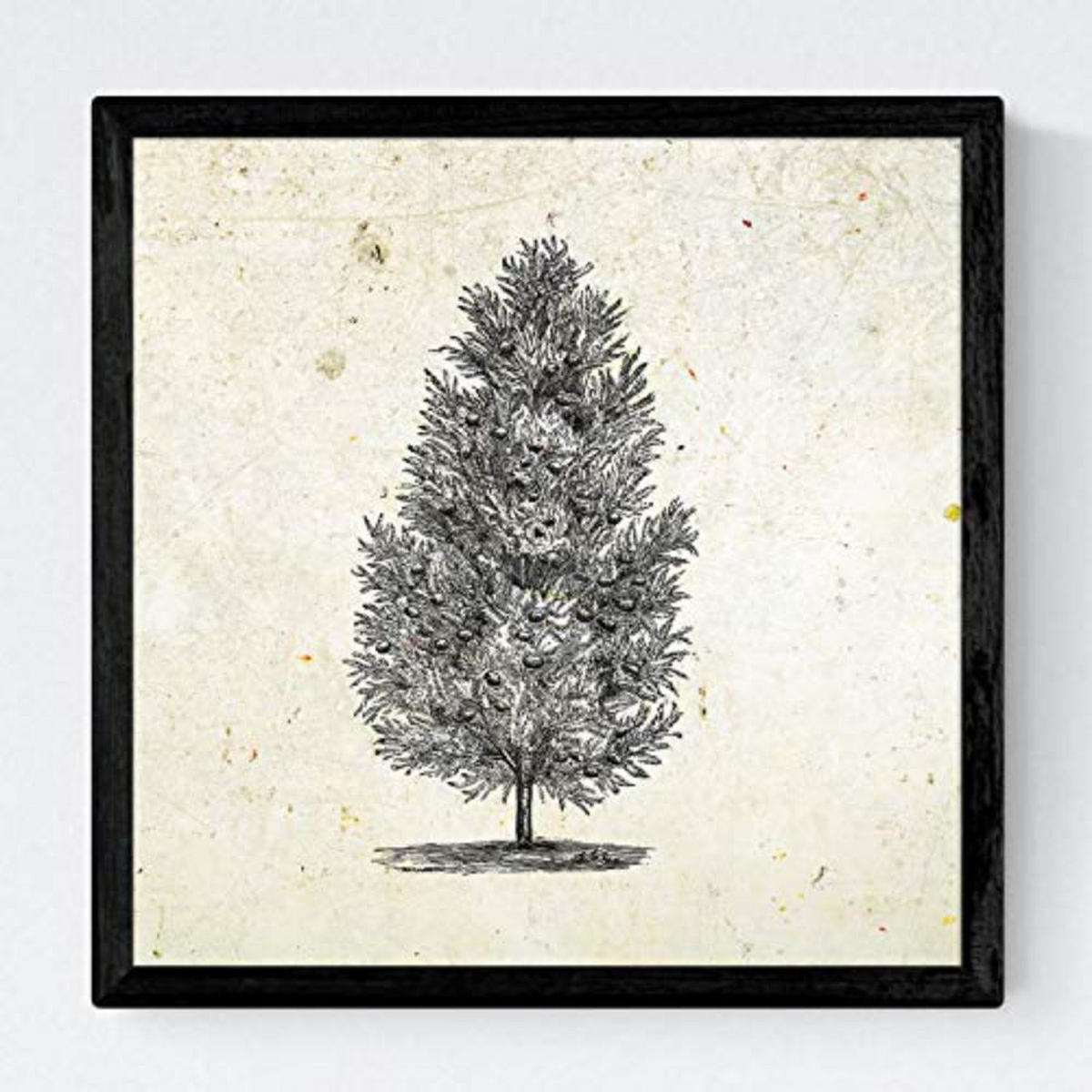 POSTER Set mit 4 Blättern der Bäume Sehr fondosos Jahrgang Hintergrund 20x20cm Rahmenlos - Klar, Papier (20/3cm) - Nacnic