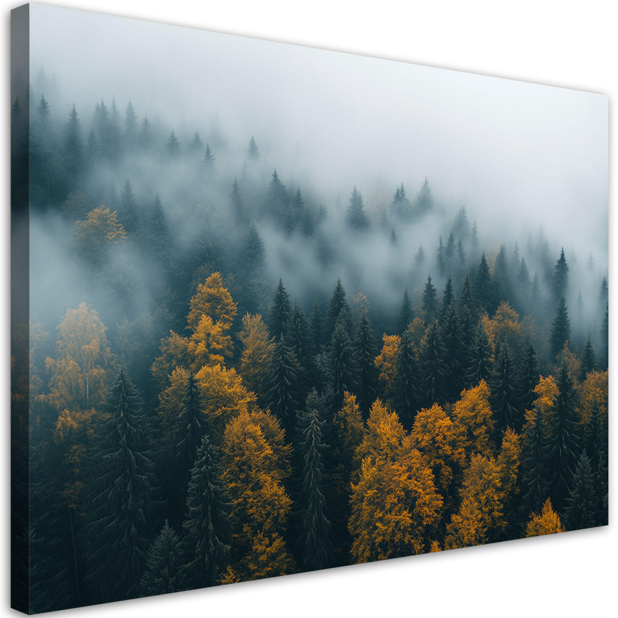 WANDBILD wald in nebel landschaft - Grün, Textil (60/40cm) - Feeby