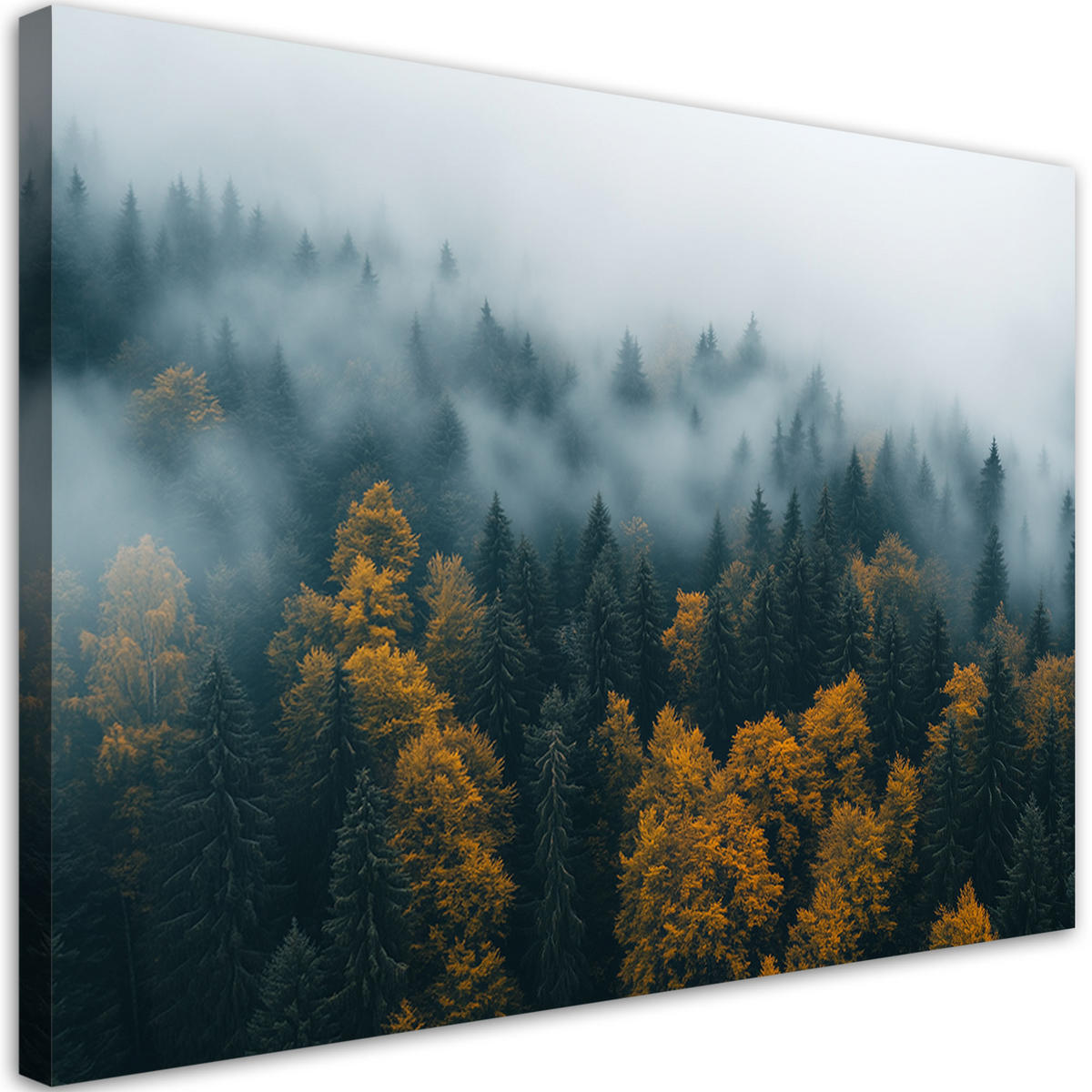 WANDBILD wald in nebel landschaft - Grün, Textil (60/40cm) - Feeby
