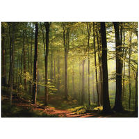 FOTOTAPETE Wald Bäume Grün 350x250 cm - Multicolor, Papier (350/250cm) - Wallarena