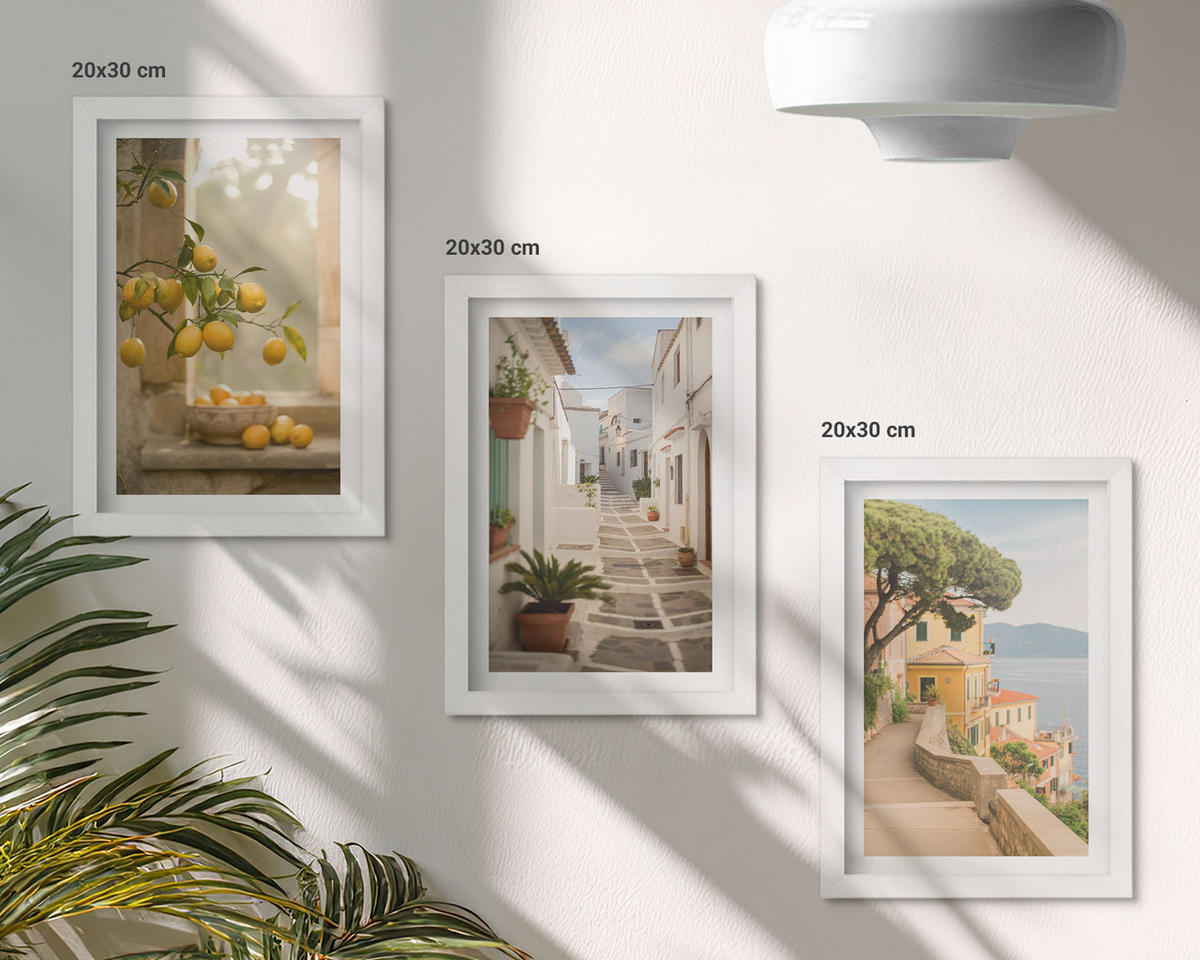 WANDBILDER 3er-Set - 20x30 cm Weißer Rahmen - Blick aus dem Fenster auf einen Zitrusbaum - Weiß, Kunststoff (20/30cm) - ArtPrintCave