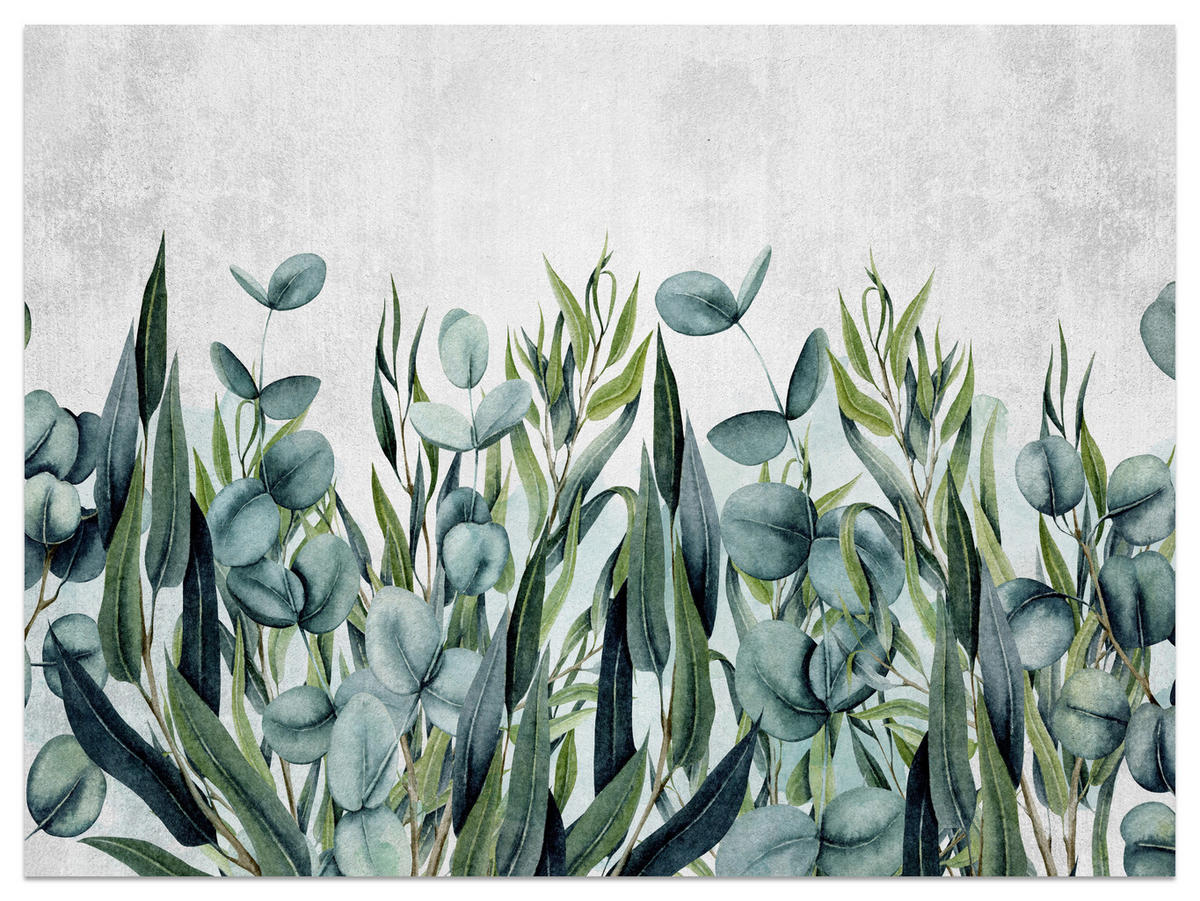 FOTOTAPETE für Schlafzimmer Beton Blätter Aquarell Natur Grün Eukalyptusblätter 500x350 - Grau/Grün, Papier (500/350cm) - Muralo