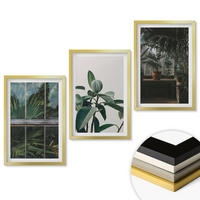 WANDBILDER 3er Set - 40x60 cm Goldrahmen - Grüne Blätter an der Fensterpflanze - Goldfarben, Kunststoff (40/60cm) - ArtPrintCave