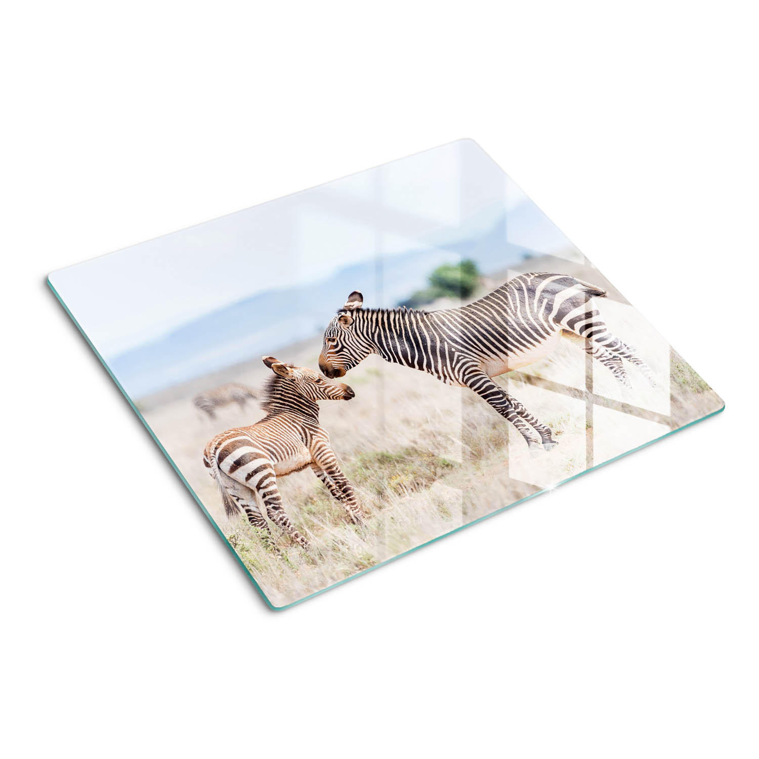 GLASPLATTE 60x52 cm Zebraberge - Beige, Glas (60/0.4/52cm) - TULUP