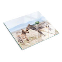 GLASPLATTE 60x52 cm Zebraberge - Beige, Glas (60/0.4/52cm) - TULUP