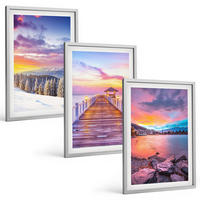 BILDER SET 3er Set - 40x60 cm Silberner Rahmen - Winterliche Bergseelandschaft - Silberfarben, Kunststoff (40/60cm) - TULUP