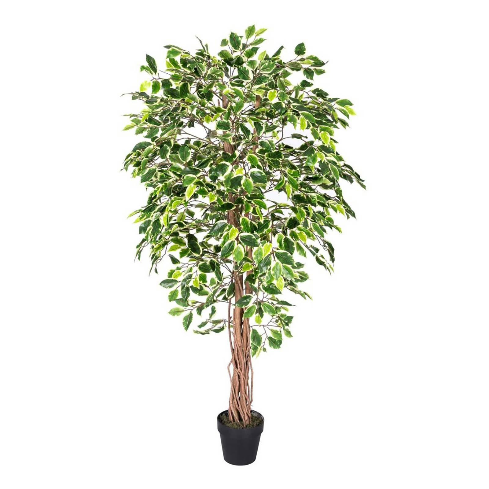 KUNSTBAUM Ficus benjamini, 180 cm - Multicolor, Kunststoff (180cm) - Homescapes