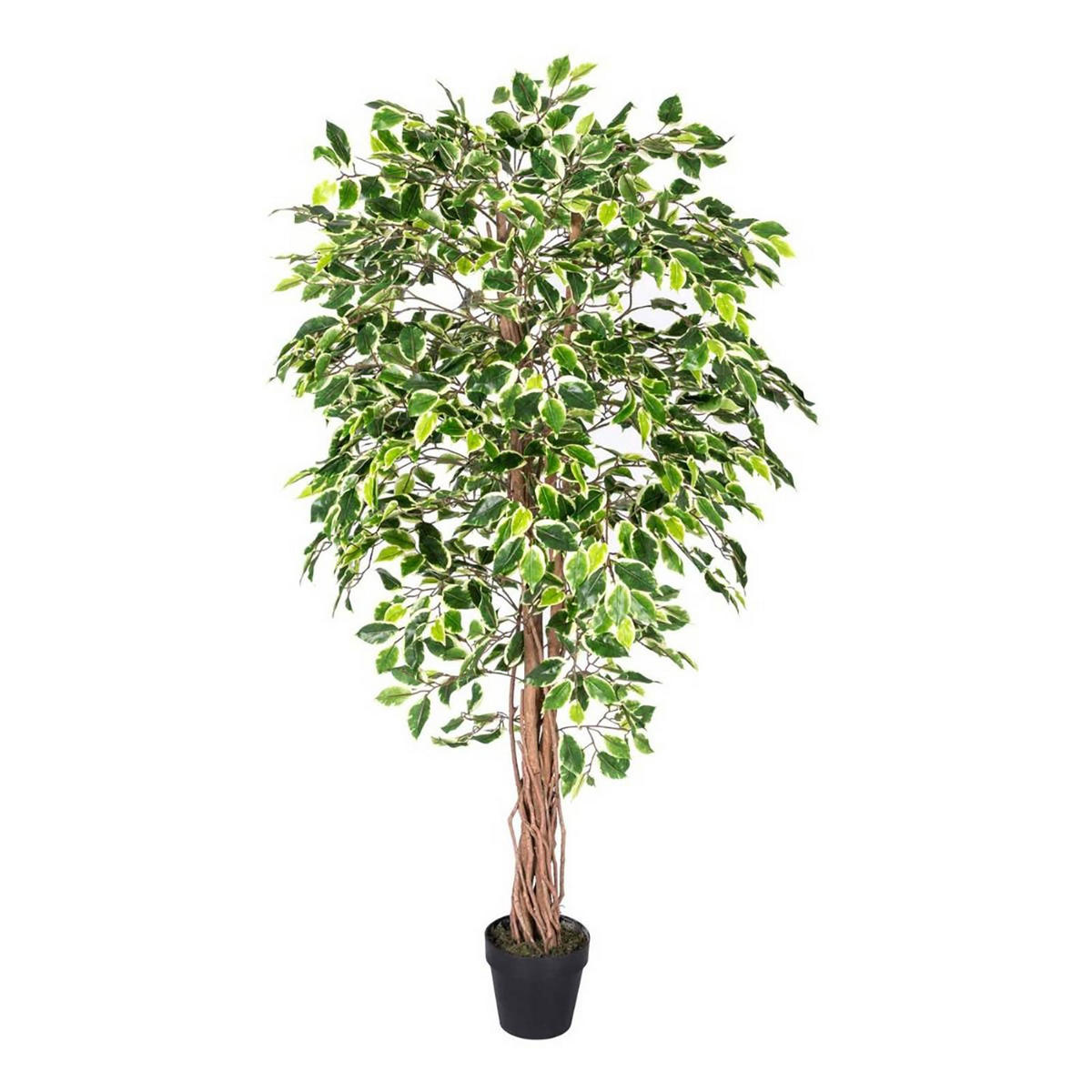 KUNSTBAUM Ficus benjamini, 180 cm - Multicolor, Kunststoff (180cm) - Homescapes