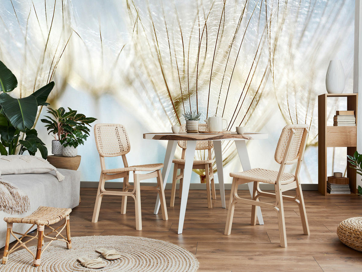 FOTOTAPETE für Wohnzimmer Löwenzahn Pflanzen Natur 500x350 - Blau/Beige, Papier (500/350cm) - Muralo