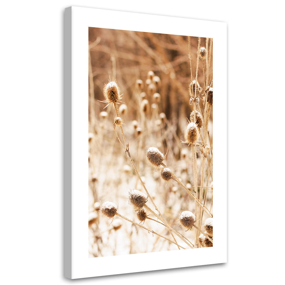 WANDBILD getrocknete wiese mit teebaumblüten - Beige, Textil (40/60cm) - Feeby