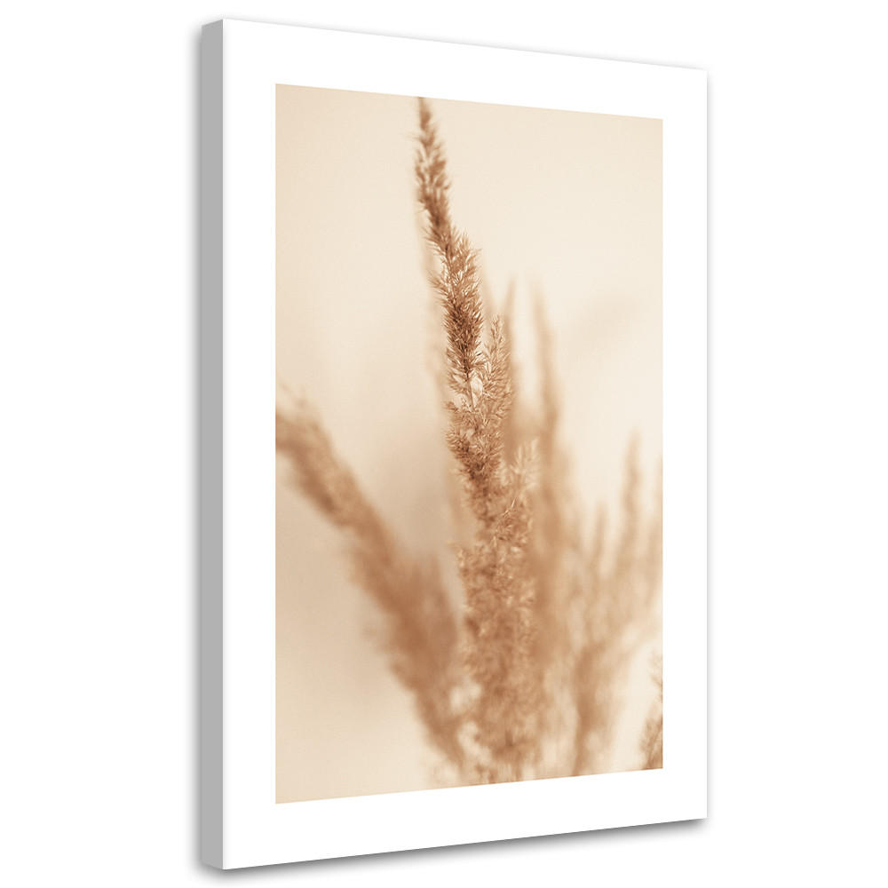 WANDBILD beigefarbenes pampasgras - Beige, Textil (40/60cm) - Feeby