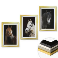 WANDBILDER 3er Set - 20x30 cm Goldrahmen - Porträts von Pferden in verschiedenen Fellfarben - Goldfarben, Kunststoff (20/30cm) - ArtPrintCave