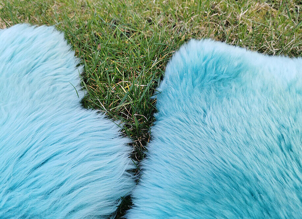 FELL Öko Lammfell Schaffell Türkis Hellblau ca. 90 cm - Türkis/Hellblau, Fell (50/90cm) - Provellus