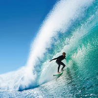 FOTOTAPETE Surfer 325 x 279 cm - Grün, Papier (325/279cm) - ESTAhome
