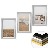 WANDBILDER 3er Set - 20x30 cm Silberner Rahmen - Strandwellen, Steine, Sommer - Silberfarben, Kunststoff (20/30cm) - ArtPrintCave