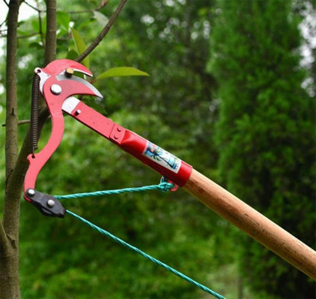 SCHERE – geeignet zum Pflücken von Früchten - Rot, Metall (30/23/1cm) - DCA