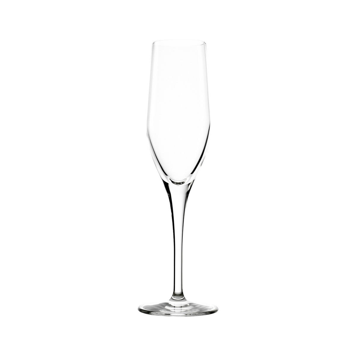 SEKTKELCHE Exquisit transparent 175 ml 6er Set - Transparent, Glas (0.175L) - Stölzle Lausitz