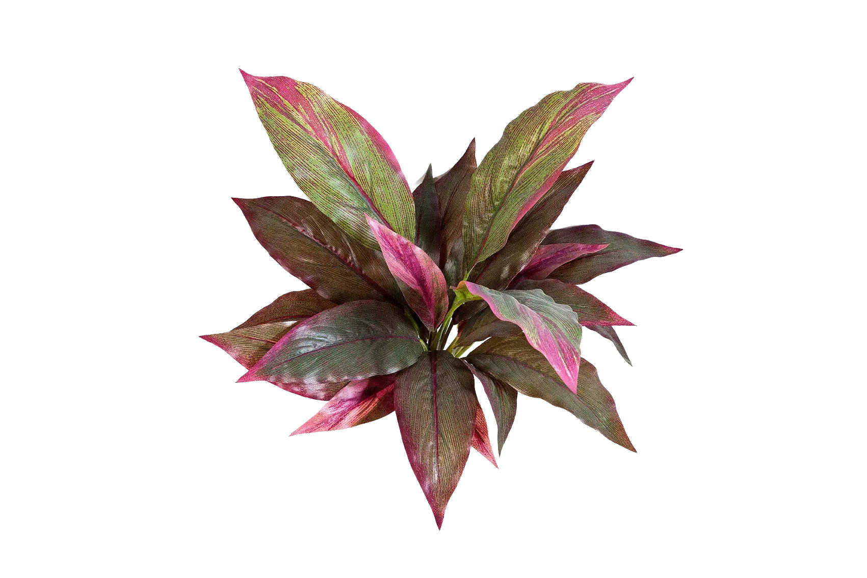 KÜNSTLICHE Cordyline - Marc 30 cm - Rot, Kunststoff (30cm) - aplanta
