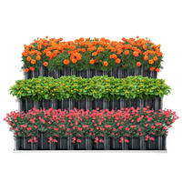 PFLANZBEET Renswoude - Anthrazit, Metall (118/60/118cm) - [en.casa]