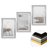 WANDBILDER 3er Set - 20x30 cm Silberner Rahmen - Wasserpflanzen im Sommer - Silberfarben, Kunststoff (20/30cm) - ArtPrintCave