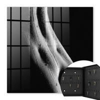 SCHLÜSSELBOX Schwarz 30x30 cm- Türöffnung nach rechts - Sinnliche Eleganz - Schwarz, Metall (30/30/5cm) - TULUP