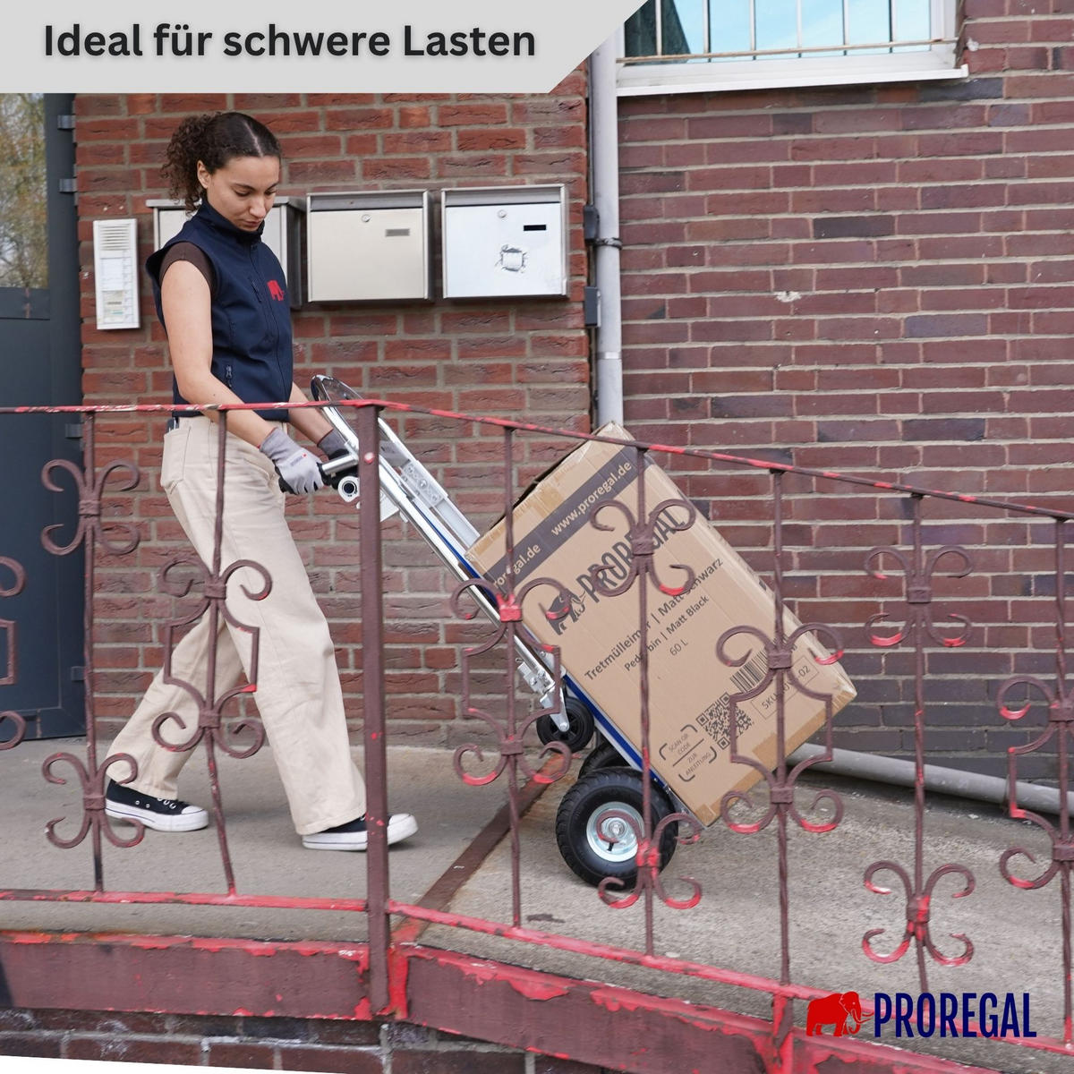 SACKKARRE 2-in-1 Apollo klappbar Traglast 350/250 kg - Silberfarben, Metall (48/46/113cm) - PROREGAL