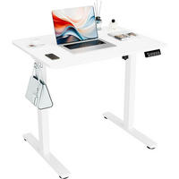 SCHREIBTISCH elektrisch höhenverstellbar 80 x 60 cm Weiß - Weiß, Metall (59.9/79.8/118.1cm)