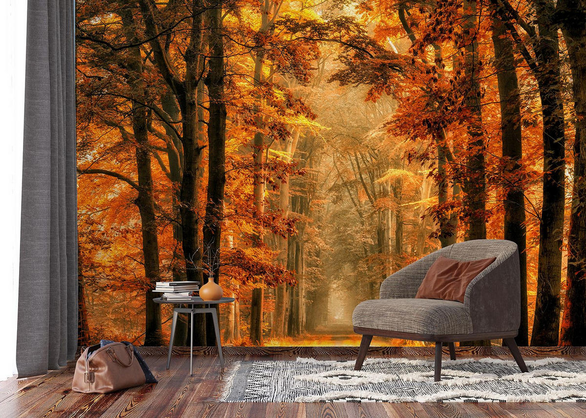 FOTOTAPETE bewaldete Landschaft 375 x 270 cm - Orange, Papier (375/270cm) - Sanders & Sanders