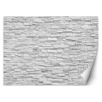 VLIESTAPETE Schwarz 250/175 cm - Schwarz/Weiß, Textil (250/1cm) - KUNSTLOFT
