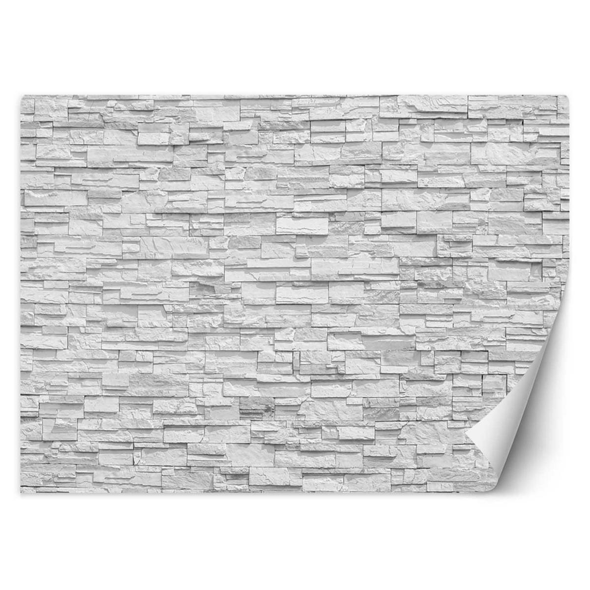 VLIESTAPETE Schwarz 250/175 cm - Schwarz/Weiß, Textil (250/1cm) - KUNSTLOFT