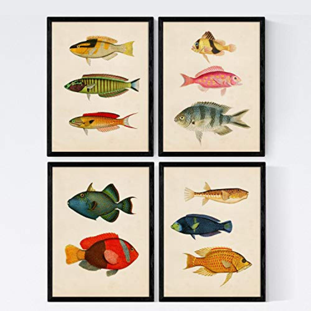 Nacnic Poster Klar 29.7x3 cm