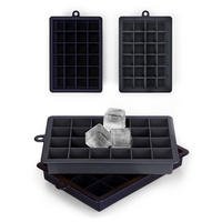 EISWÜRFELFORM Silikon, BPA-Frei, 2x24, Schwarz - Schwarz, Kunststoff (16.5/2.6/11cm) - Blumtal