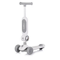 KINDERROLLER Bloomi 2 in 1 grau Laufrad Sitz PU-Räder Lichteffekte Bremse - Grau, Metall (46/28/77cm) - Chipolino