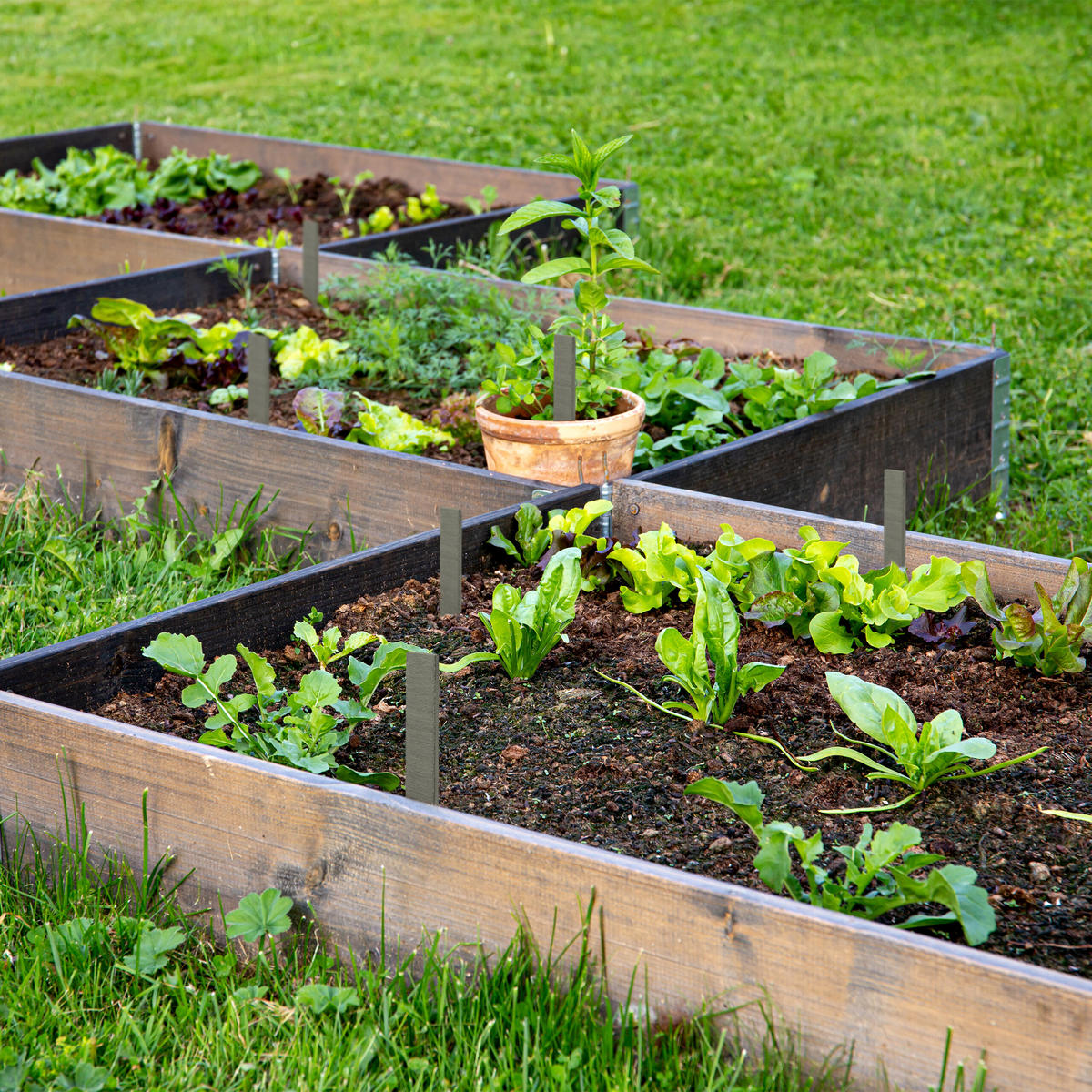 10XPFLANZENSTECKER - Anthrazit, Stein (3/20/0.5cm) - Relaxdays