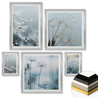 WANDBILDER 5er Set - 50x50 cm & 20x30 cm & 40x60 cm Silberner Rahmen - Wassertropfen auf Löwenzahnsprossen - Silberfarben, Kunststoff (40/60cm) - ArtPrintCave
