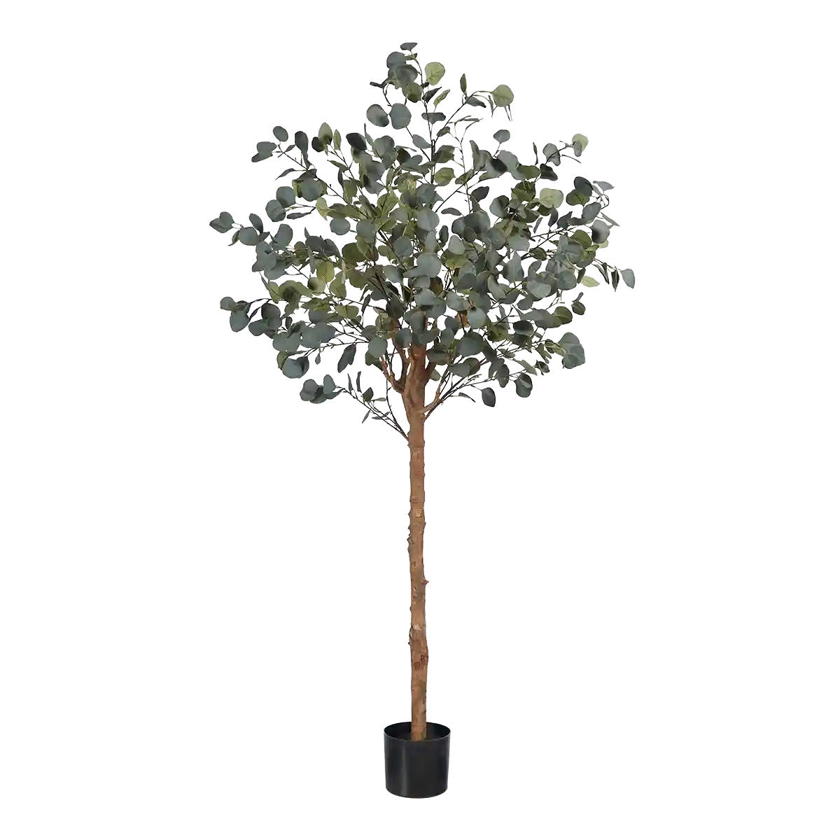 EUCALYPTUS Künstlicher Eucalyptus Baum - Parla 180 cm - Grün, Kunststoff (180cm) - aplanta