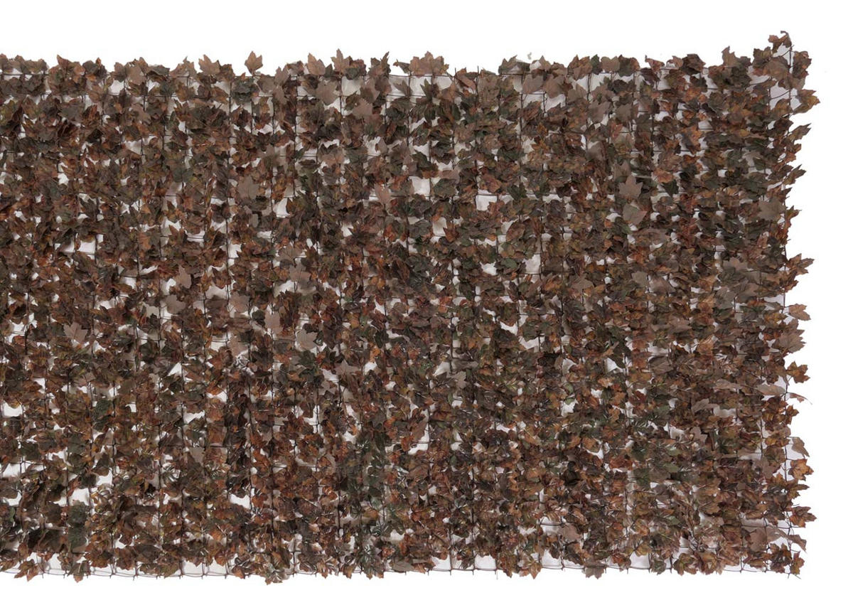 BALKONSICHTSCHUTZ 100x500x1cm Zaun Ahorn Braun - Braun, Kunststoff (500/100cm) - PROREGAL