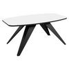 COUCHTISCH Luna - Schwarz/Weiß, Holzwerkstoff/Metall (60/120/48cm) - MIRJAN24