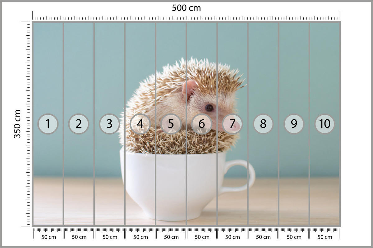 FOTOTAPETE für Esszimmer Igel Weiße Tasse Süß Tier 500x350 - Beige/Weiß, Papier (500/350cm) - Muralo