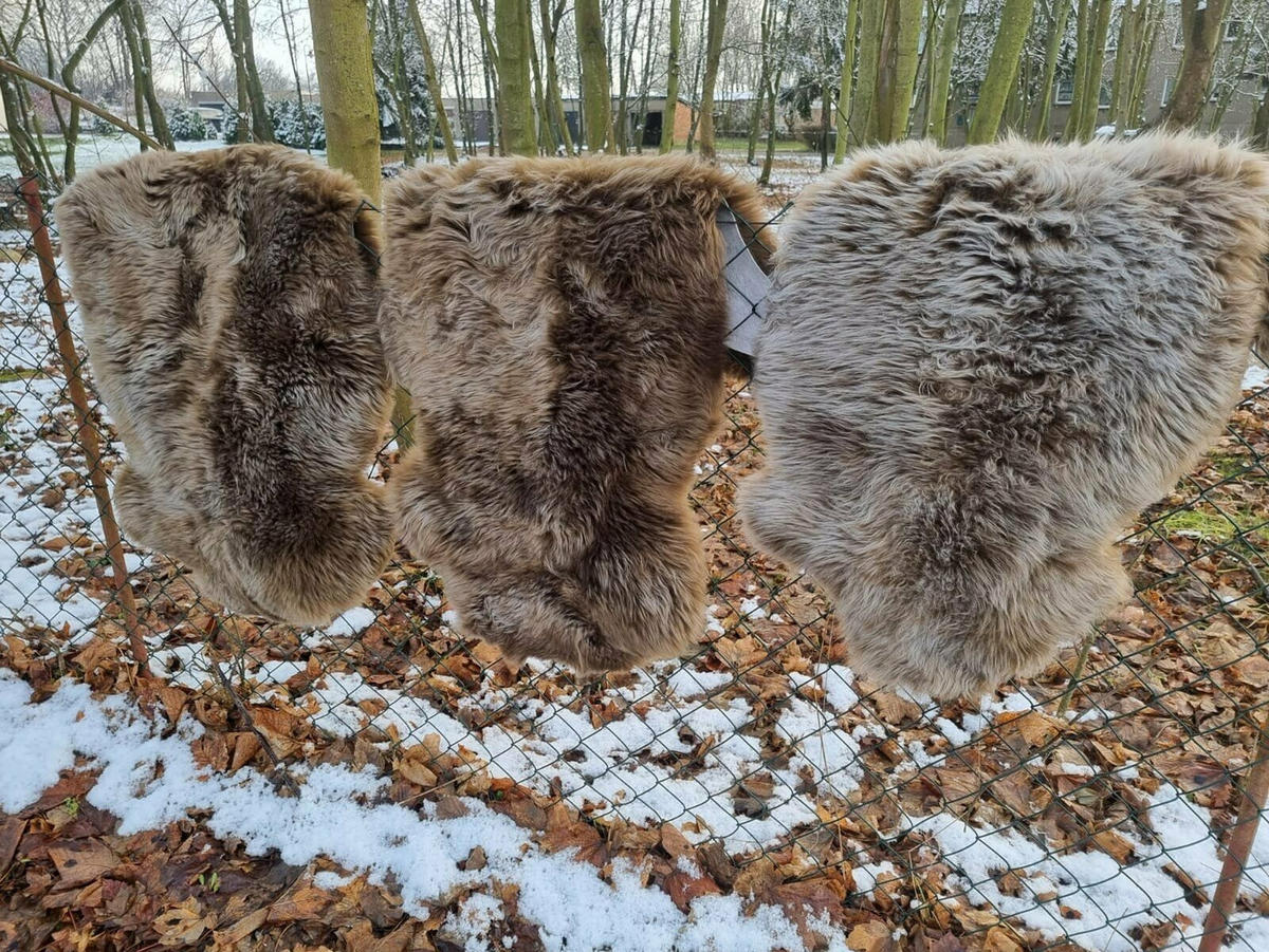 FELL Öko Schaffell Lammfell Ice Brown ca. cm - Braun, Fell (85/135cm) - Provellus