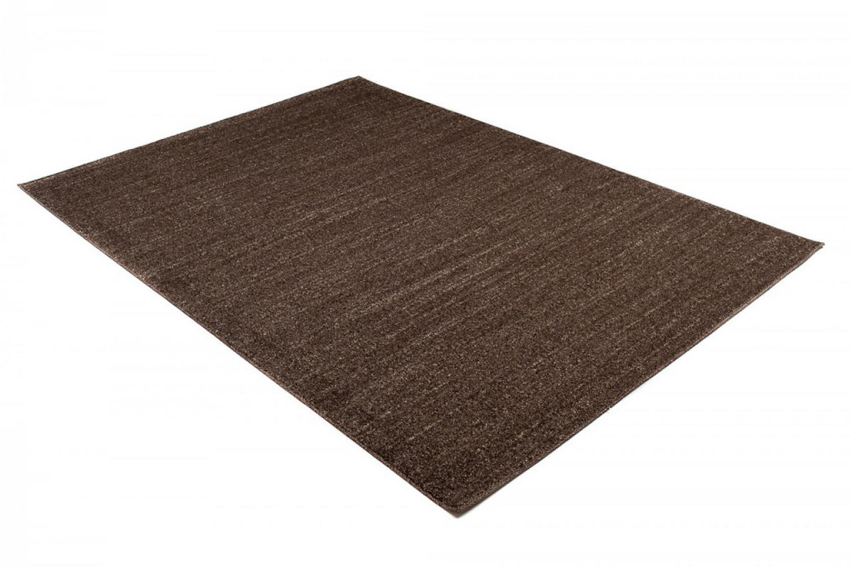 TEPPICH SARI Dunkelbraun 300/400 cm - Dunkelbraun, Textil (300/400cm) - Tapiso