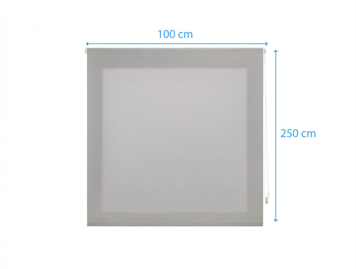 ROLLO Polyester Transluzent Silber 100x250 - Silberfarben, Textil (100/250/1cm) - Purline